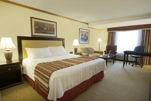 Western Airport 3*